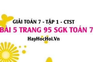 Giải bài 5 trang 95 Toán 7 Tập 1 SGK Chân trời sáng tạo